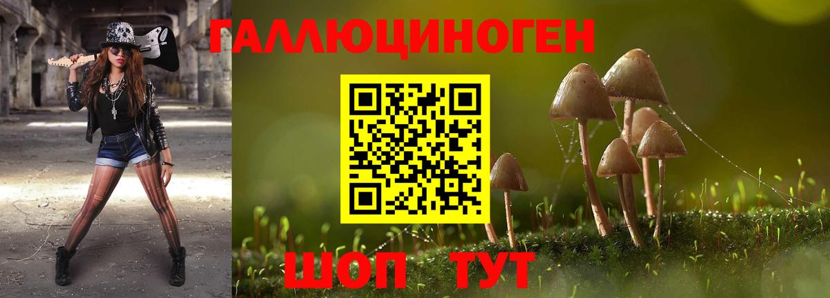 Псилоцибиновые грибы мицелий Ногинск